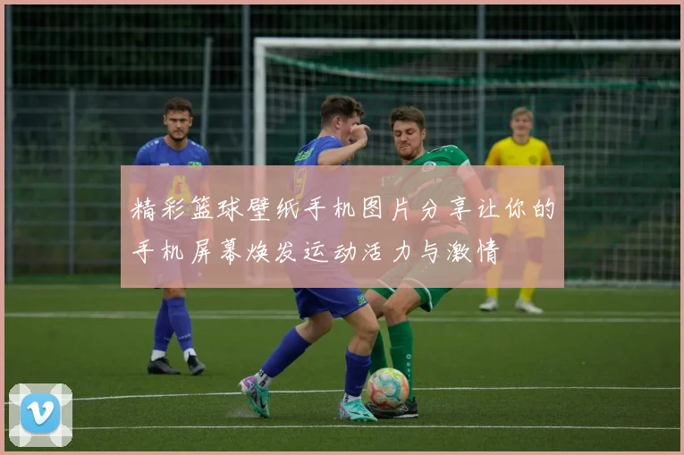 精彩篮球壁纸手机图片分享让你的手机屏幕焕发运动活力与激情