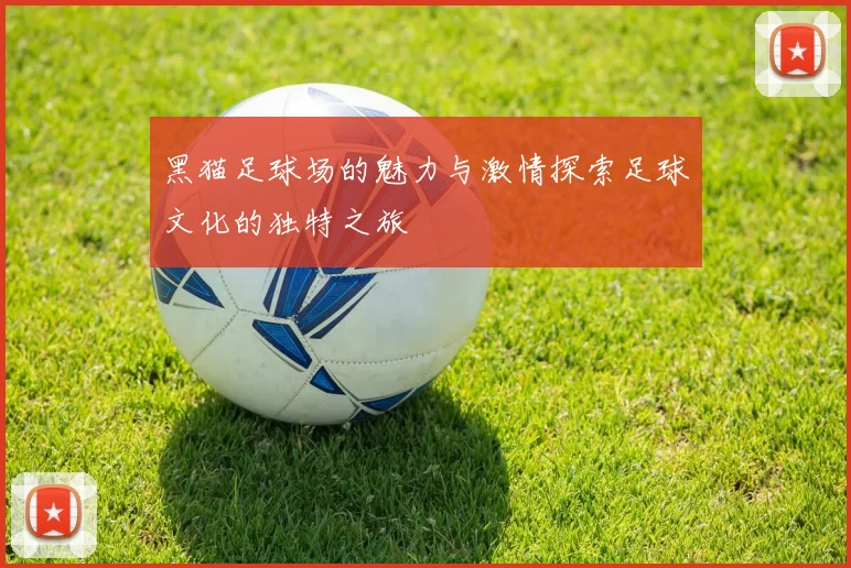黑猫足球场的魅力与激情探索足球文化的独特之旅