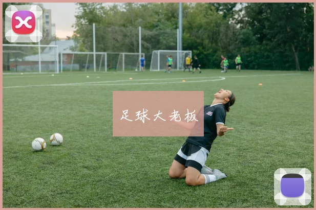 足球大老板