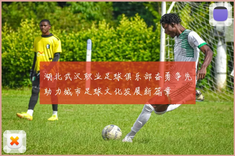 湖北武汉职业足球俱乐部奋勇争先助力城市足球文化发展新篇章