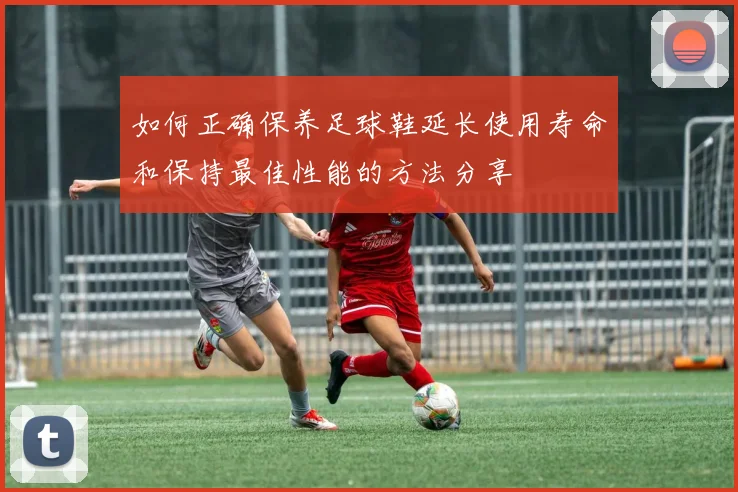 如何正确保养足球鞋延长使用寿命和保持最佳性能的方法分享