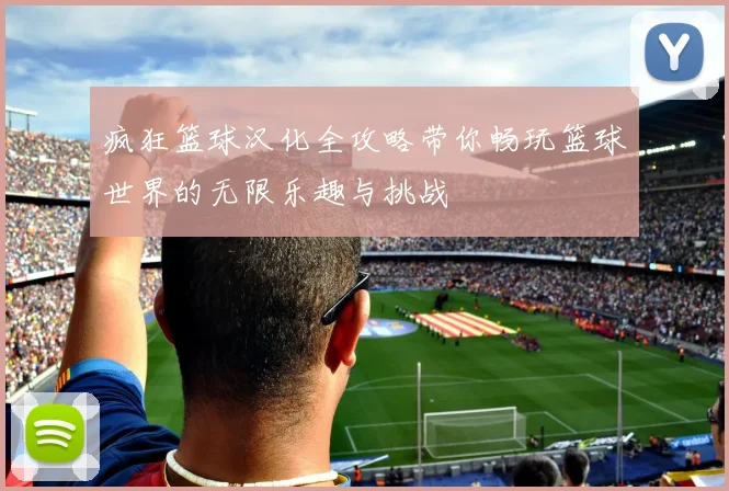 疯狂篮球汉化全攻略带你畅玩篮球世界的无限乐趣与挑战