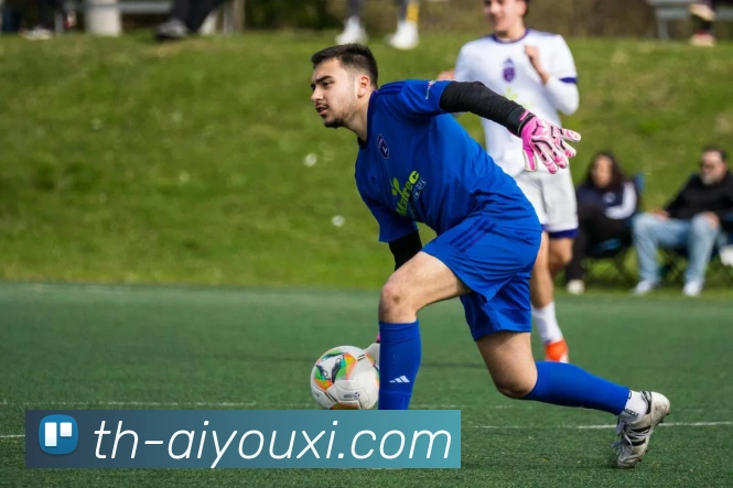 爱游戏平台品牌故事